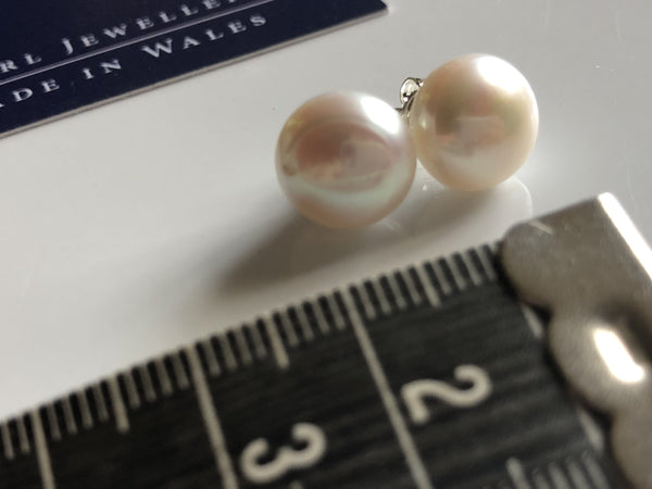 Pearl Stud Earrings: XL Freshwater Pearl stud earrings Ivory classic - Precious as a Pearl